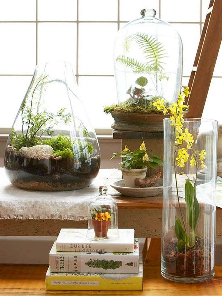 mini beltéri kert ötlet növény választás mini kert terrárium diy