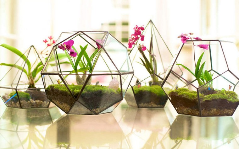 kerti terrárium ötlet, hogyan lehet mini kertet készíteni