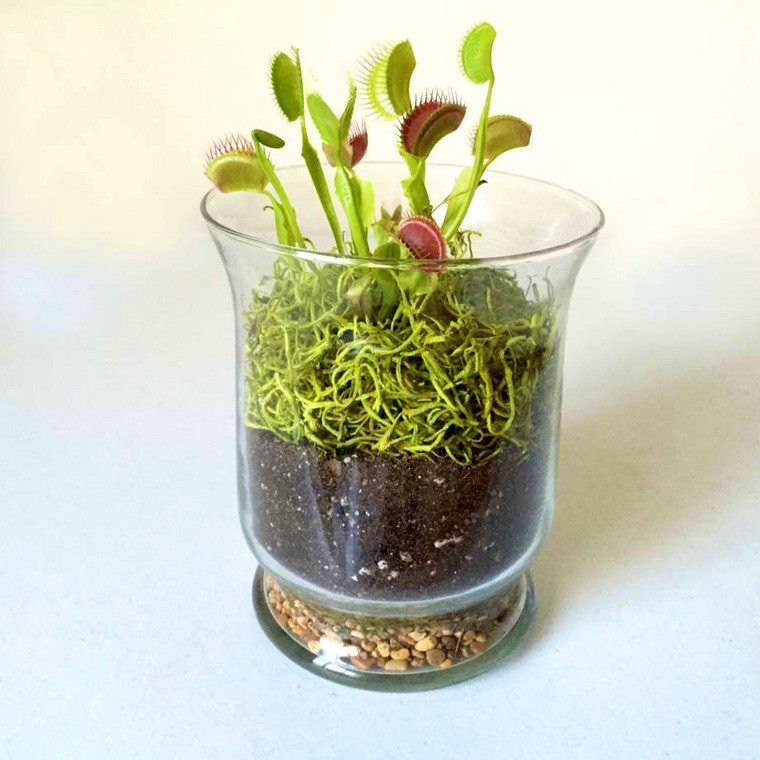 miniatűr kert ötlet beltéri terrárium diy növények ötletek