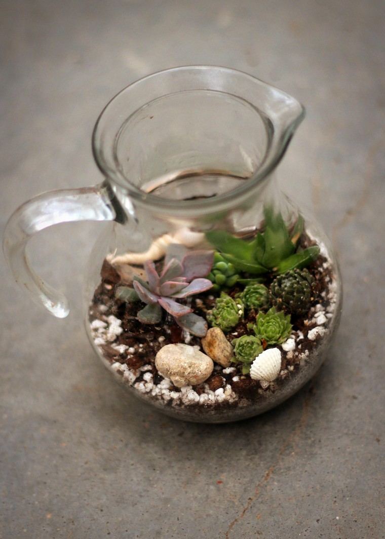 mini beltéri kert DIY ötlet kavicsok deco pozsgás növények