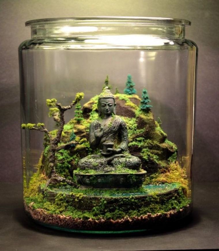 bonsai terarium biljka ideja