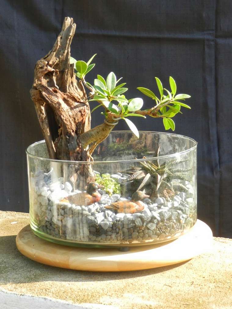 interjero dekoravimo augalo bonsai idėja