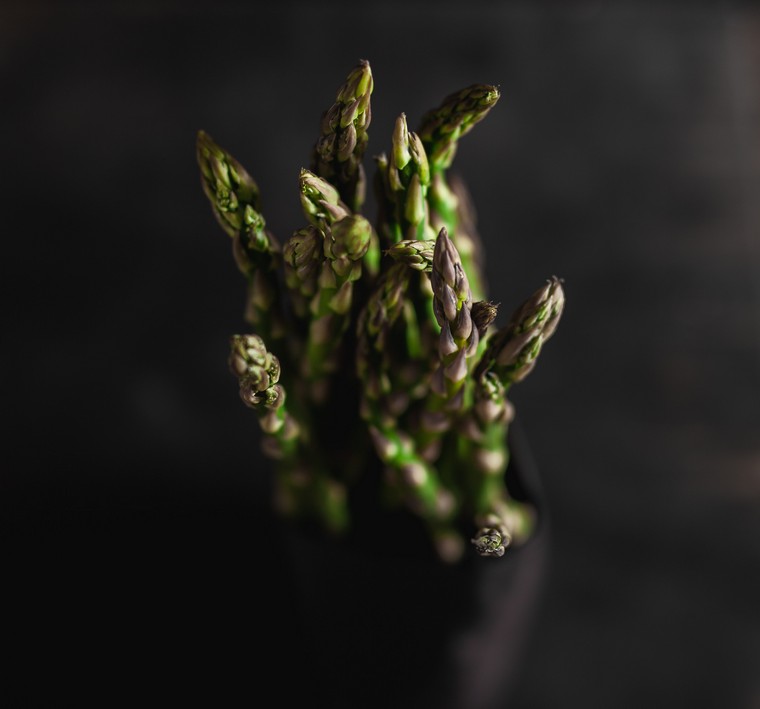 come cucinare gli asparagi foto unsplash