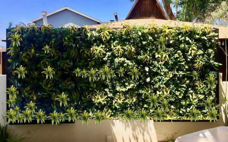 žalia siena ant tvoros