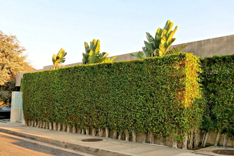 tvoros dekoravimas augalais