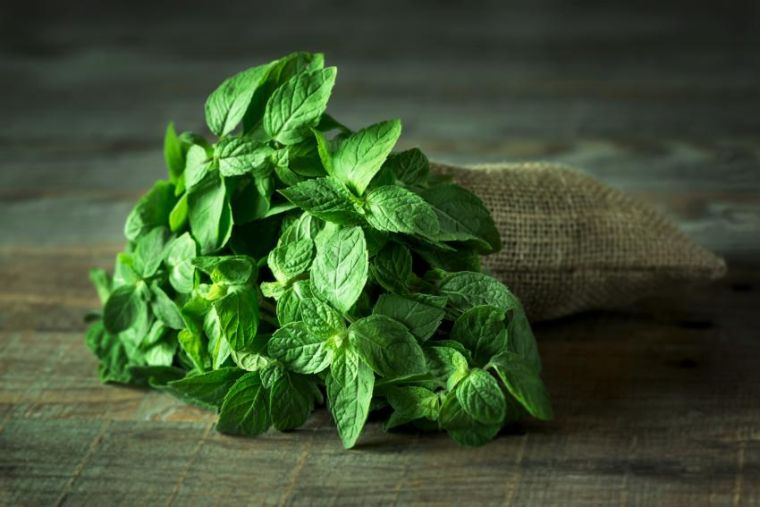 health-mint-benefits-eating-more-balance