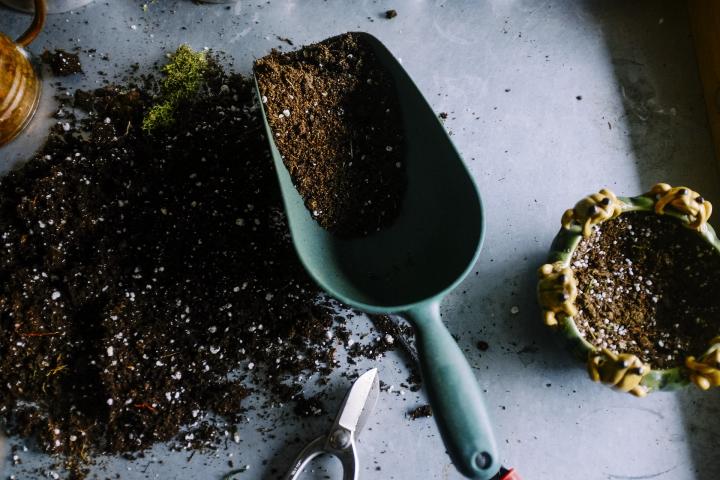 bonsai-japonų-dirvožemis-augalams