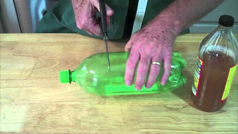 come sbarazzarsi dei moscerini delle trappole per bottiglie?