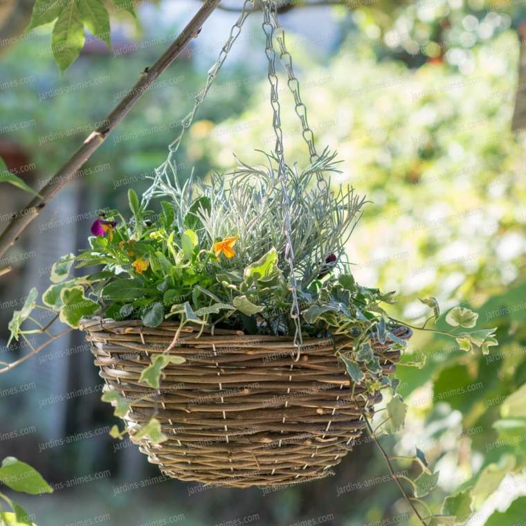 バスケット植物のミッジを取り除く方法