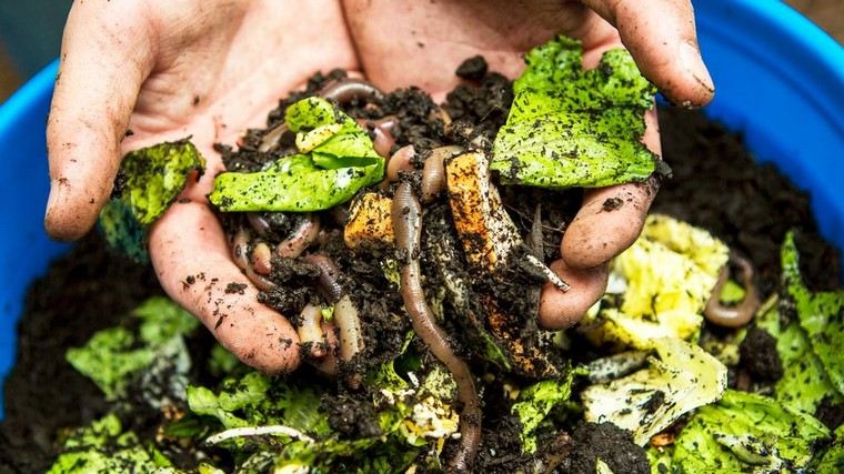 compost-appartamento-idee-fai da te-interior