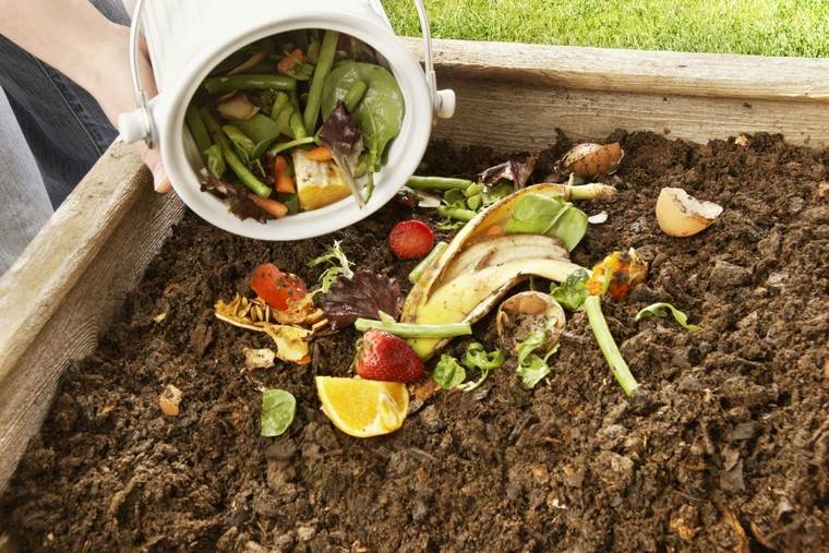 compost-giardino-all'aperto-diy-vermicomposting-worm