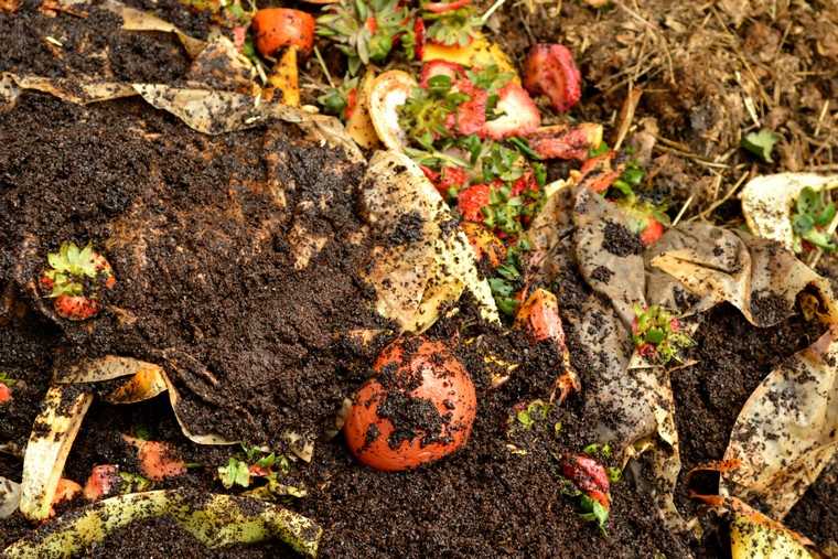 compost-idea-appartamento-vermicomposting