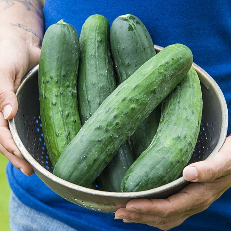 benefici idea cetriolo dieta salutare