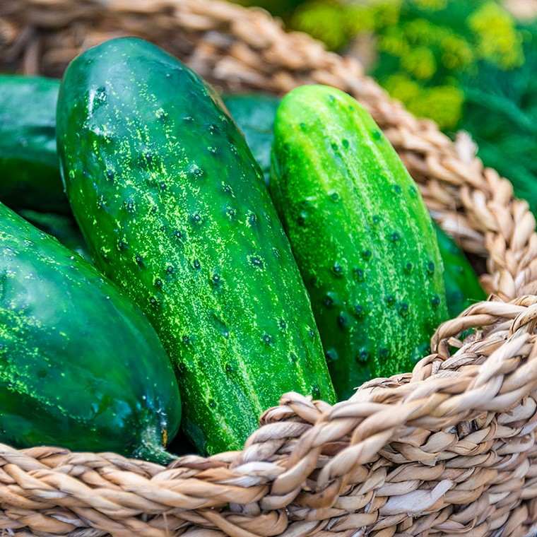 cetriolo benefici idea dieta salutare