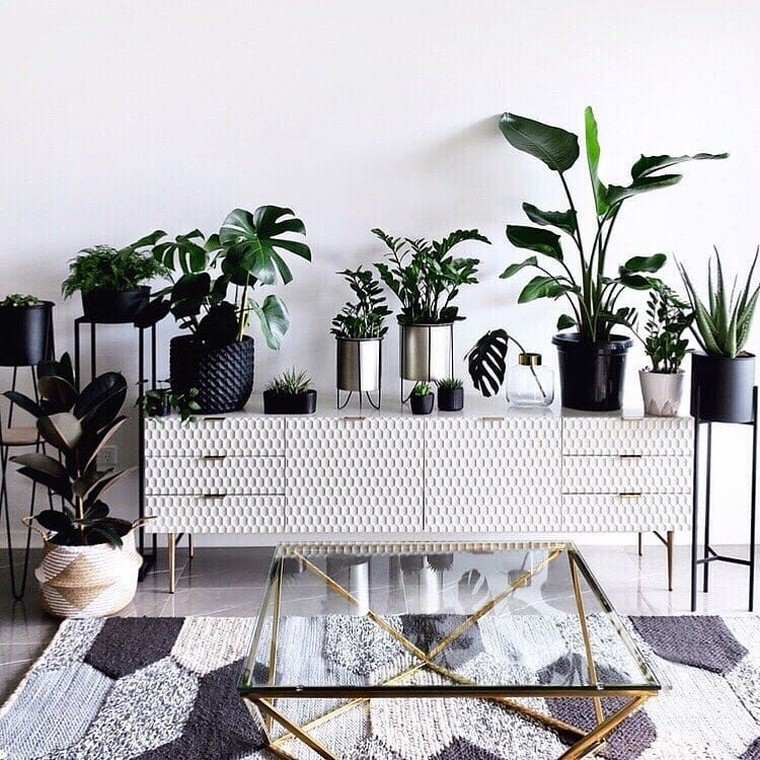 indoor-green-plant-color-trend-2019