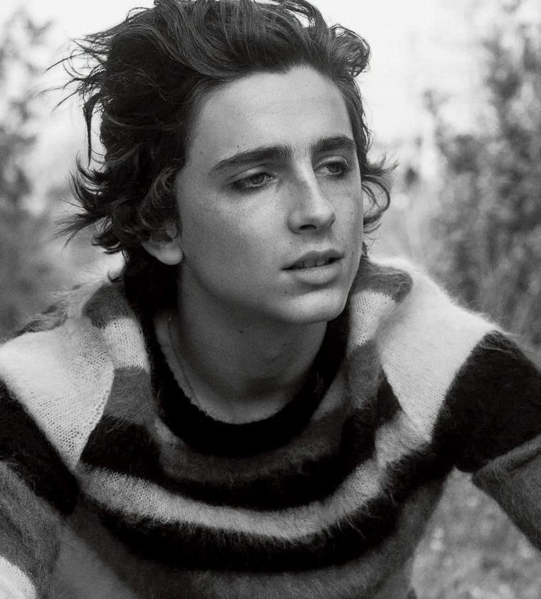 kietas Timothee chalamet kirpimas