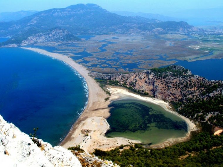 iztuzu-beach-teknős-pulyka