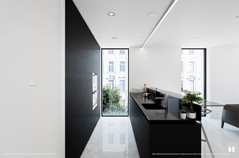 moderna idea di interior design nero cucina isola piante decorative