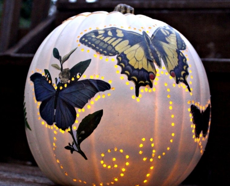 rudens dekoro pasidaryk pats moliūgų žibintų drugeliai