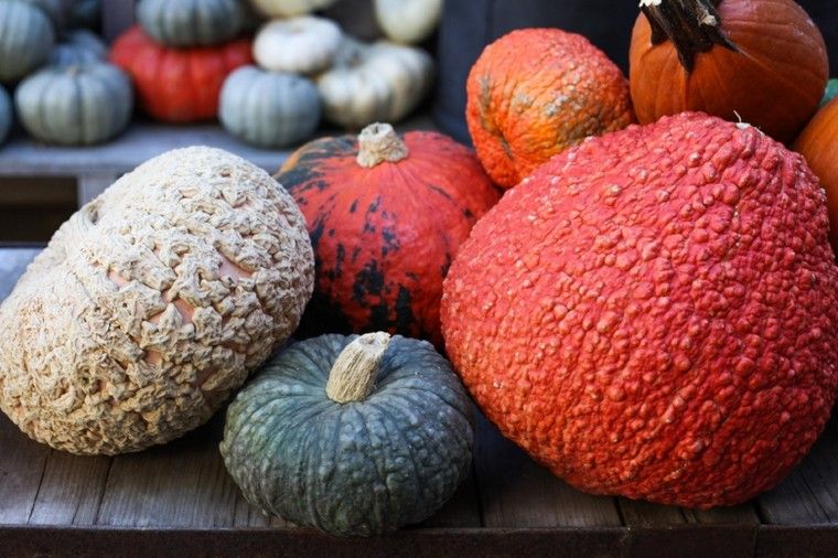 zucca-autunno-deco-idee