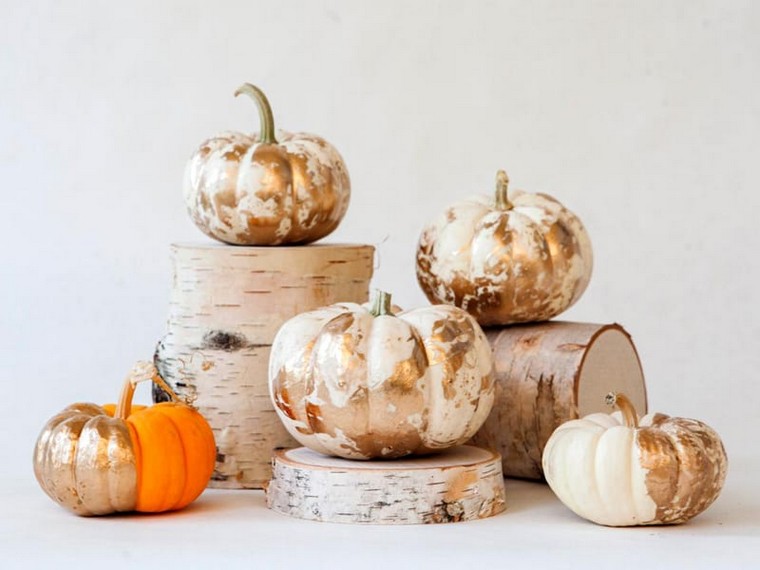 zucca-deco-zucca-idea-originale