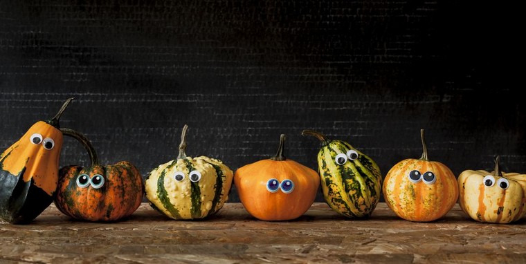 Idee di zucca a buon mercato autunnali decorative