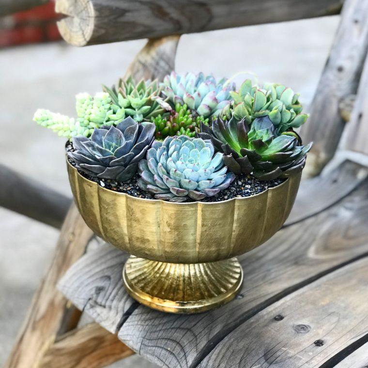 primaverile-decorazione-tavolo-idea-composizione-di-piante-succulente