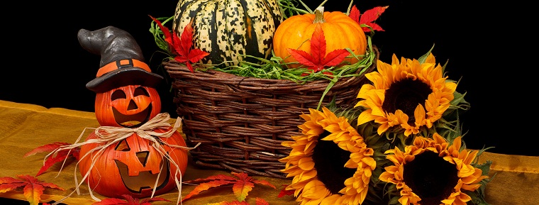 カボチャの秋の装飾