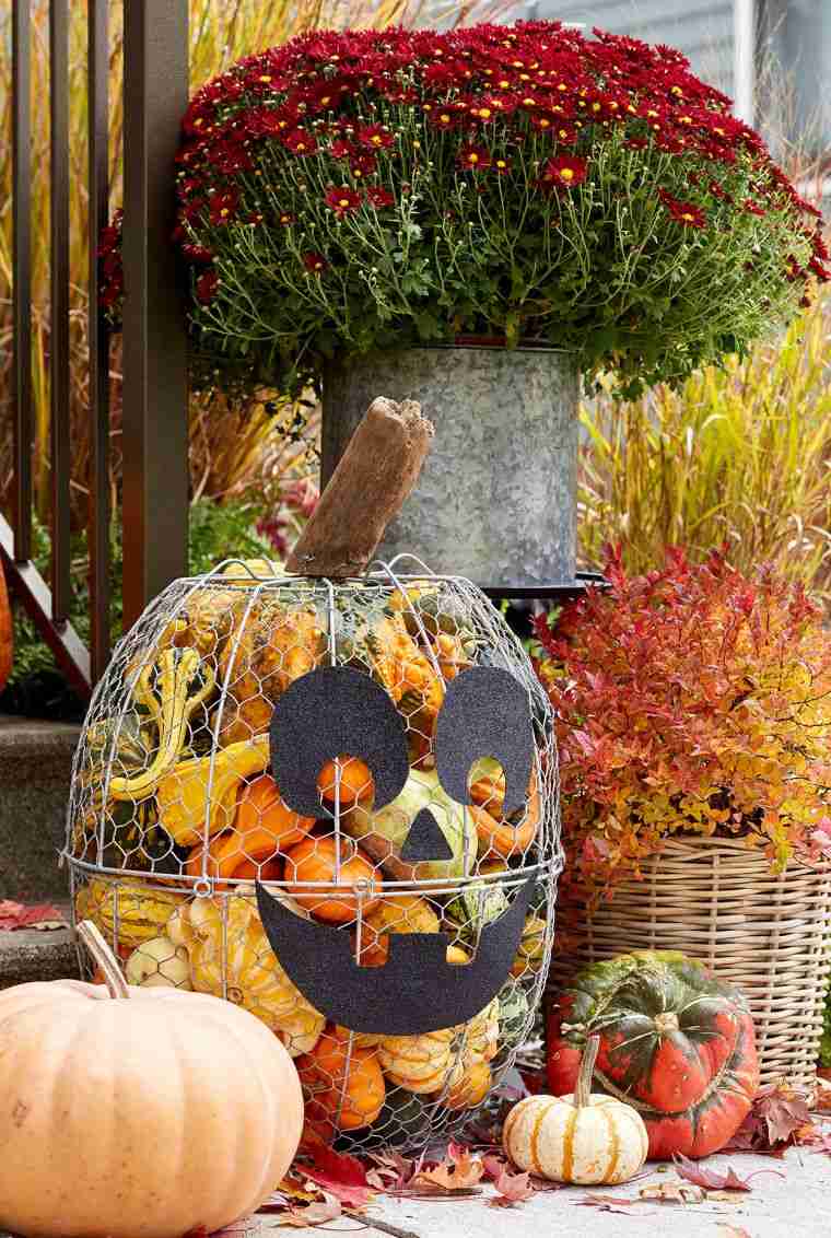 decorazione di halloween con le zucche