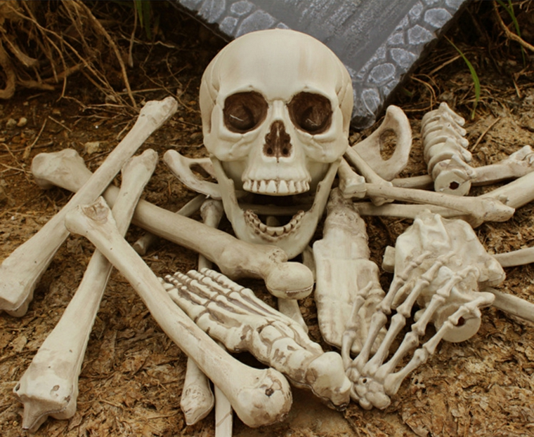Sorriso festivo dell'osso del pirata decorativo di Halloween