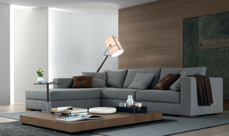 modernaus dizaino pilkos sofos