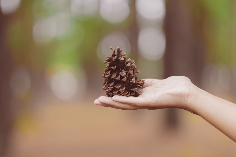 Consigli per la cura della pelle delle mani e delle unghie natalizie