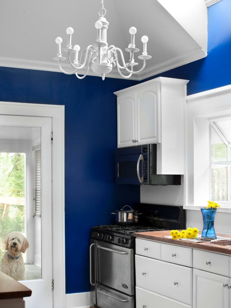 Idee di pittura murale per cucina blu scuro soffitto bianco