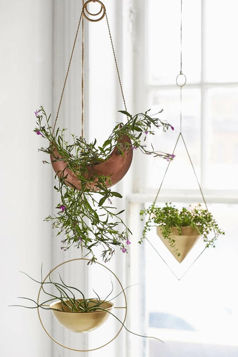 Piante da appendere in vaso di fiori per la decorazione della casa di primavera