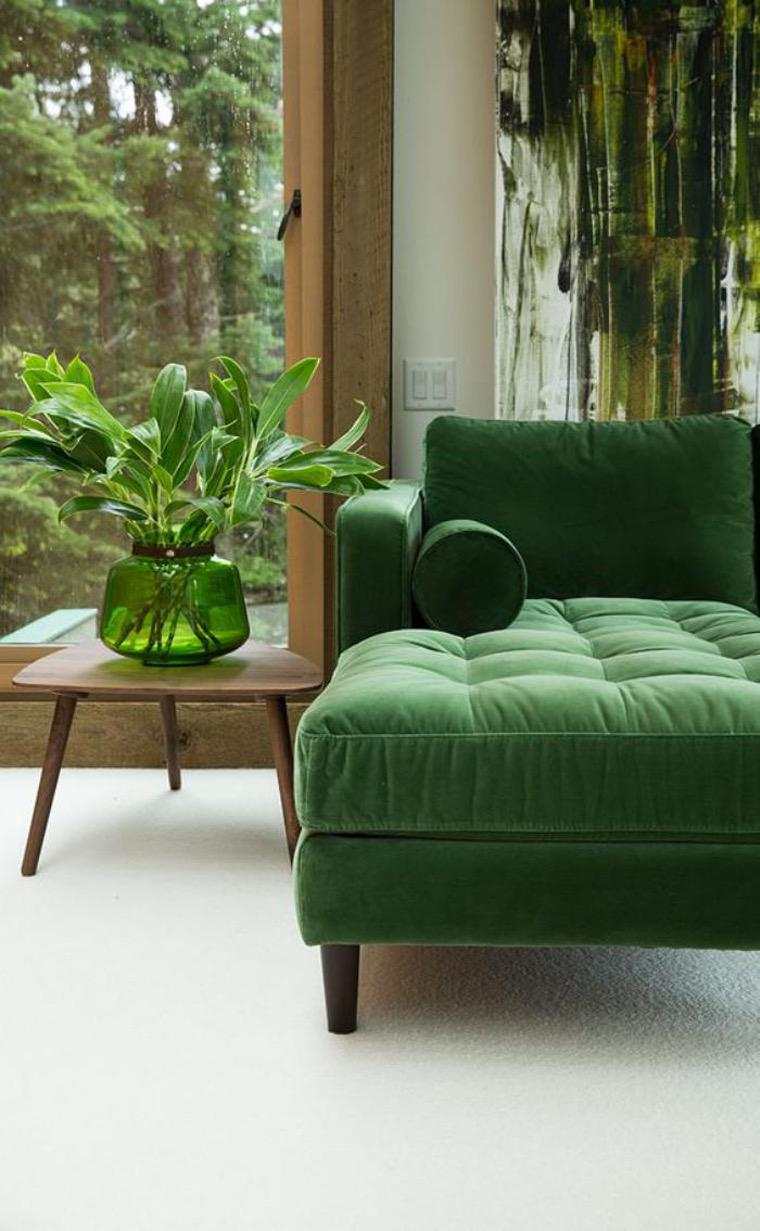 zelena sofa i biljka