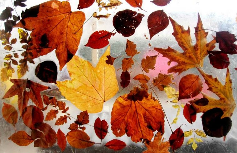 decorazione autunnale idea originale lascia idee fai da te