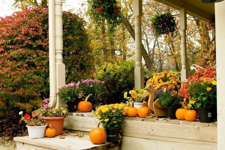 decorare lo spazio esterno fiori di zucca deco terrazza autunno