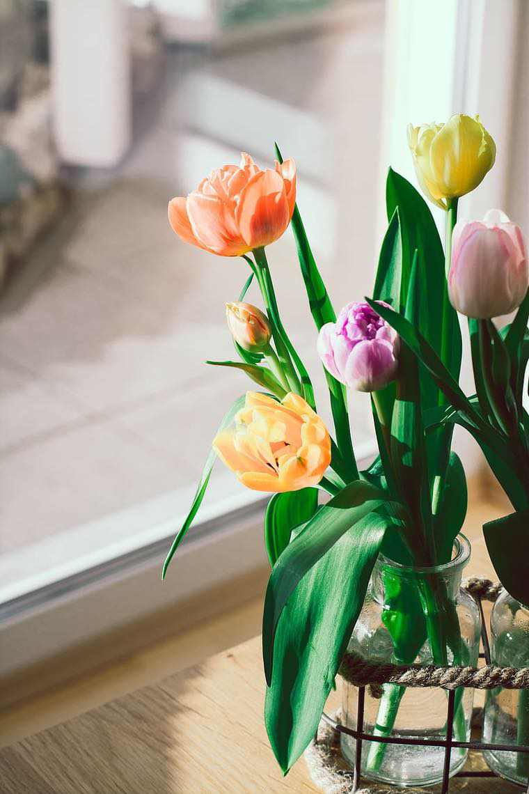 tulipani originale idea di decorazione primaverile