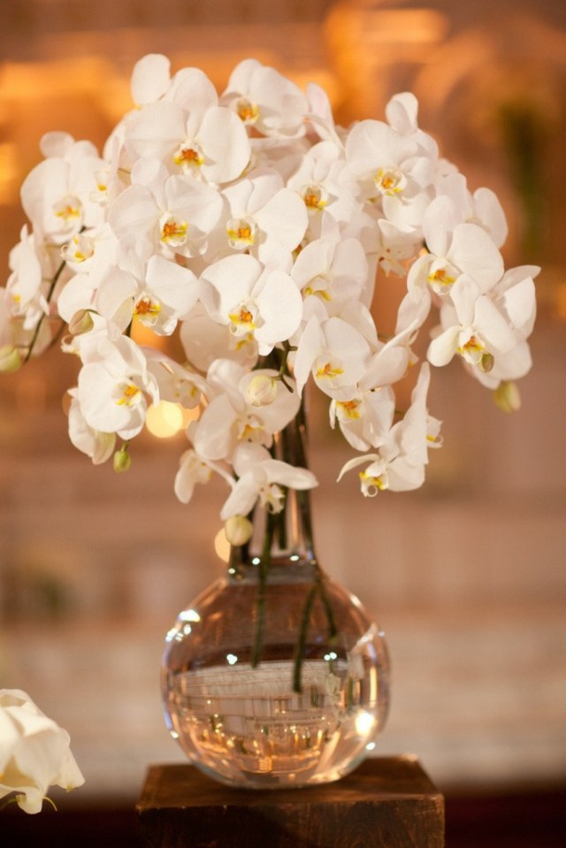 paprasta puokštė baltos orchidėjos