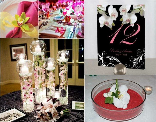 modernaus dekoro gėlių dizaino butas baltos orchidėjos augalas