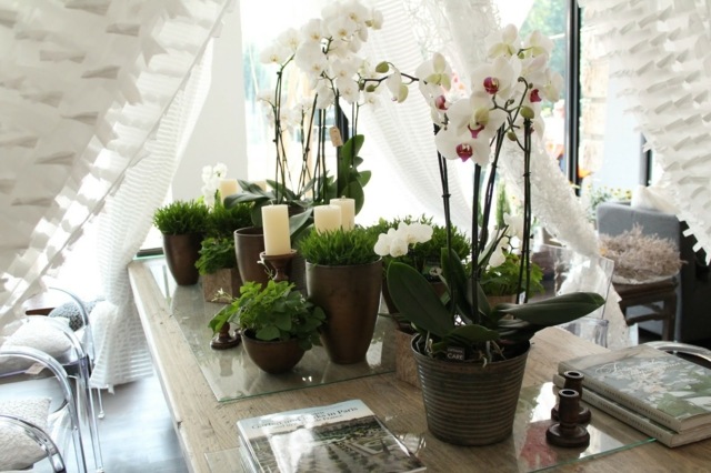 baltos orchidėjos gėlių dekoravimas šventinio stalo dekoravimas