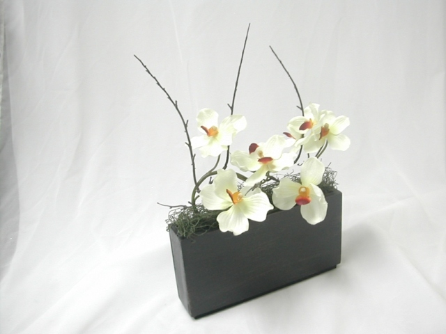 Baltos orchidėjos augalų dekoravimo idėja