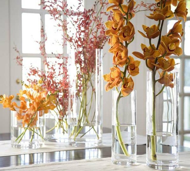 Apelsinų gėlių orchidėjų oranžinio stalo dizainas