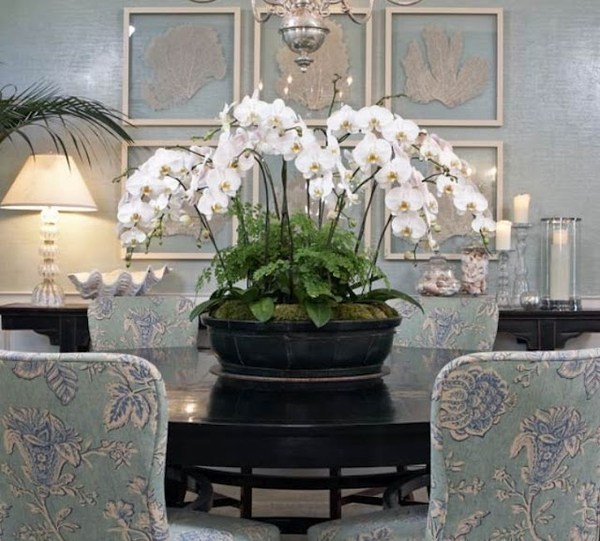 Gėlių dekoravimo stalo orchidėjos žalios samanos