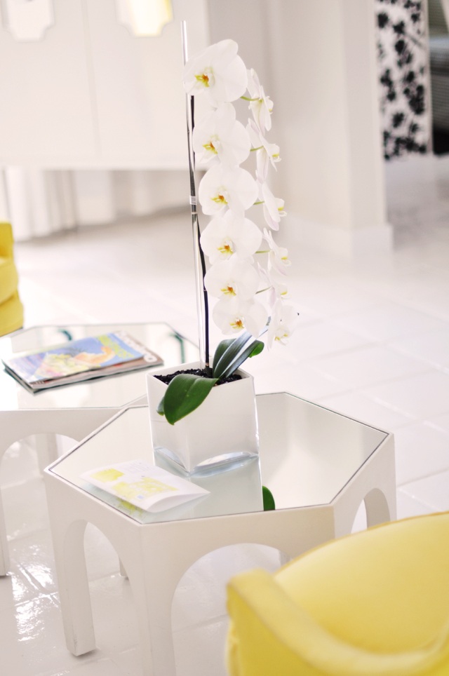balta orchidėjų geltona centro puošmena