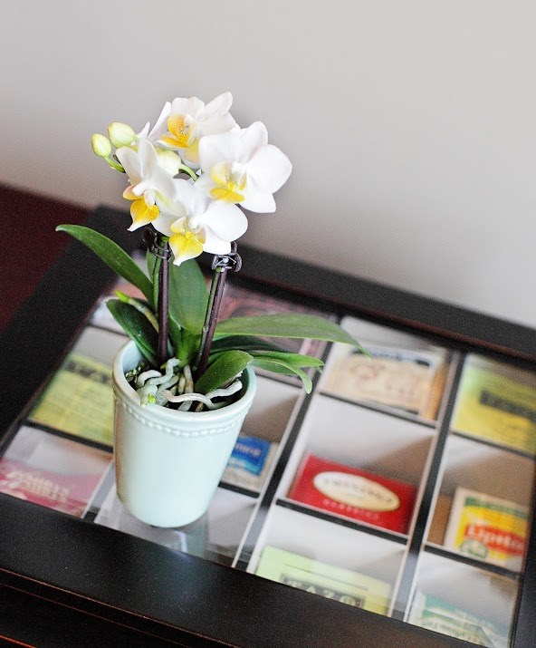mažas orchidėjų dekoravimo kavos staliukas