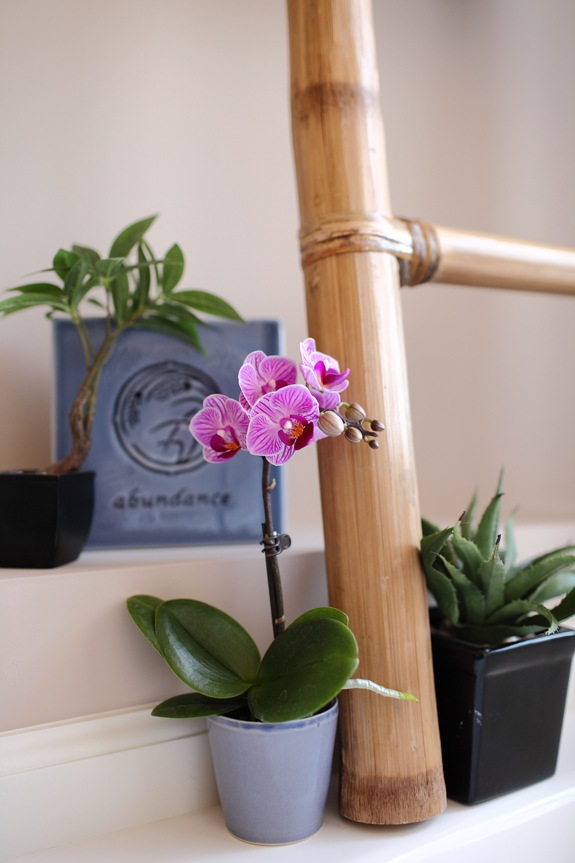 orchidėjų vonios kambarys