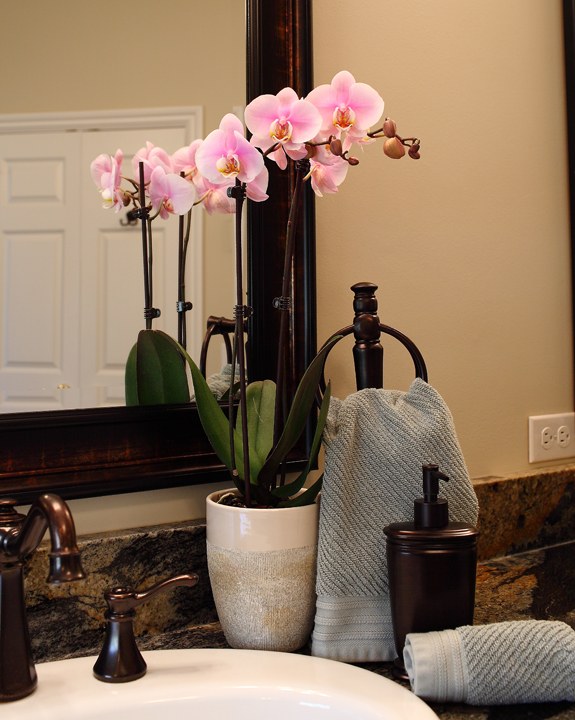 rožinis orchidėjų vonios kambarys