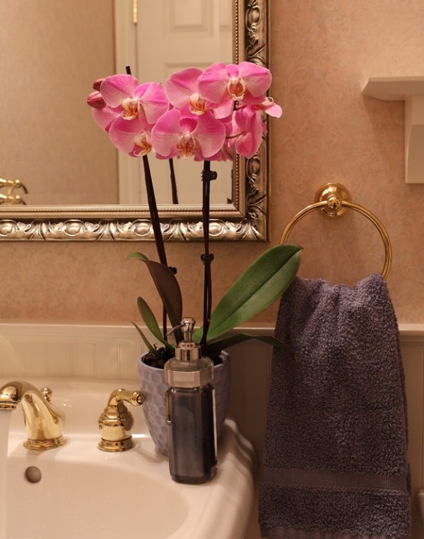 rožinės spalvos orchidėjų aukso vonios kambarys