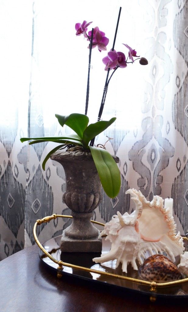 Kavos stalo dekoravimas orchidėjų jūrinis kociažas